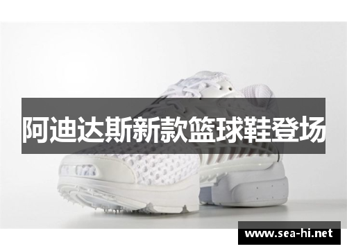阿迪达斯新款篮球鞋登场