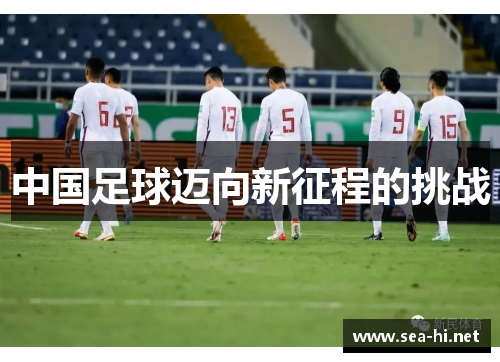 中国足球迈向新征程的挑战